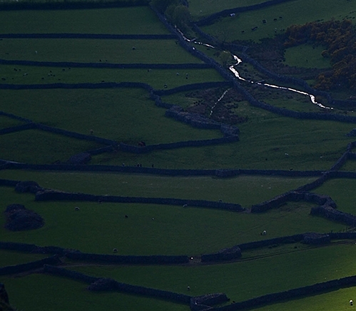 在杭州生活的真实感受