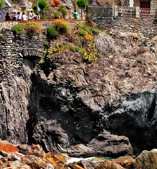 粉象生活是个什么东西