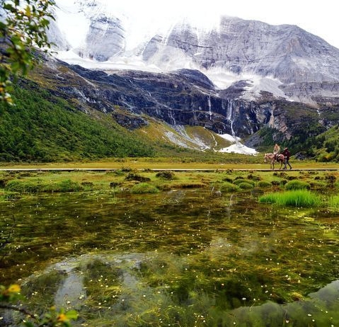 粉象生活下载app