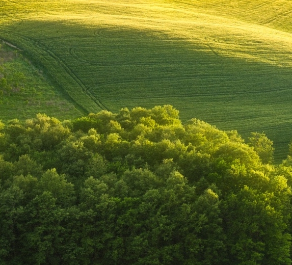 吉林加盟粉象生活