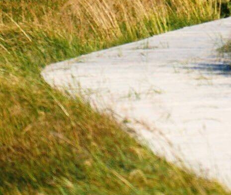 粉象生活粉丝怎么增加