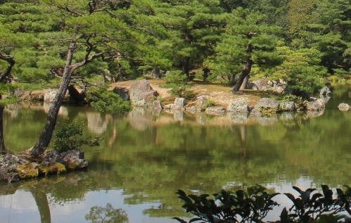 粉象生活是什么?