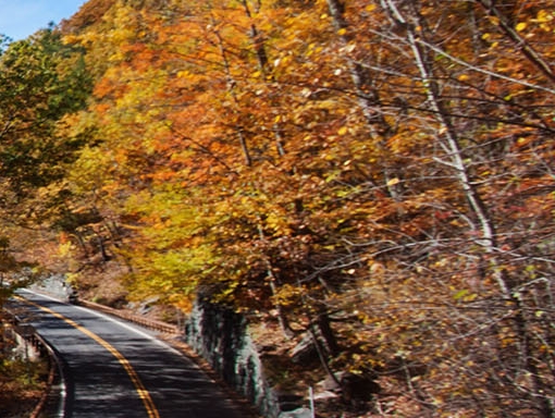 粉象生活可以赚钱吗