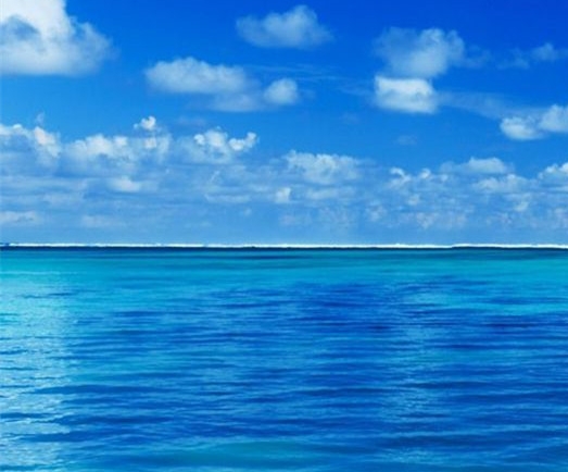 粉象生活怎么领取