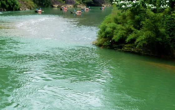 粉象生活下载app