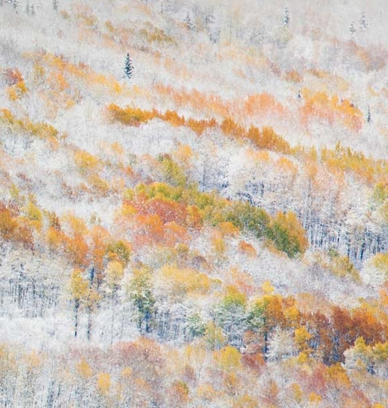 独居生活的好处 简书