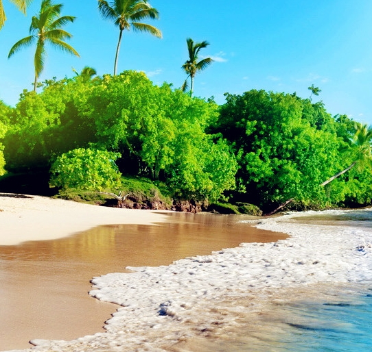 粉象生活是什么样的平台