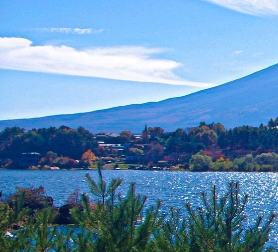 粉象生活邀请码