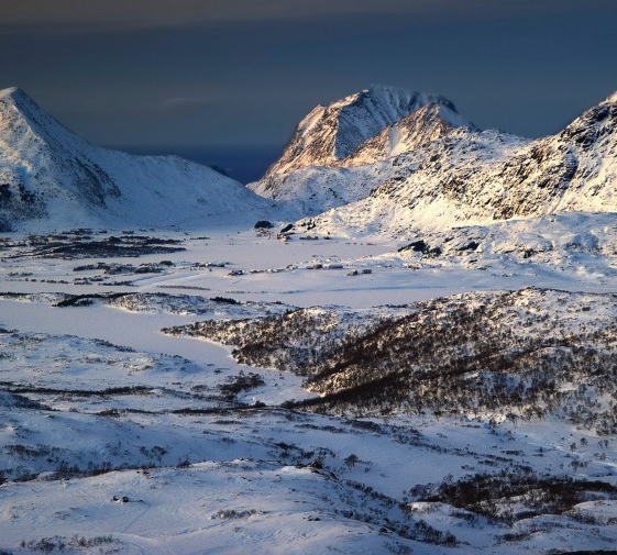 粉象生活是什么?