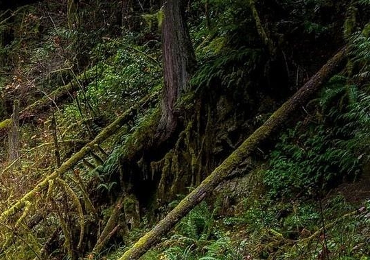 淘宝丞象数码怎么样