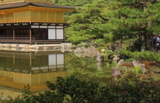 兜要省钱导师邀请码