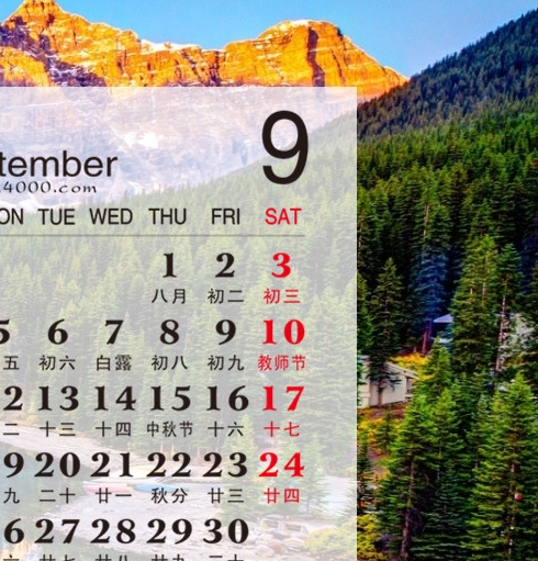 象生活在什么环境