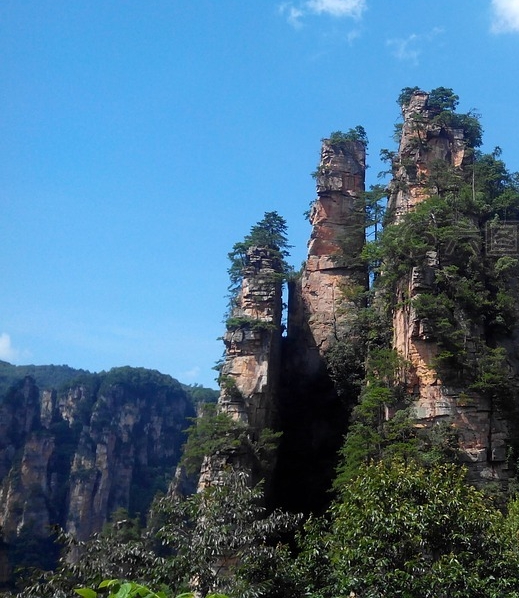 粉象生活看视频截图