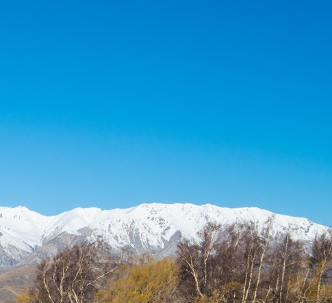 粉象生活邀请码是多少