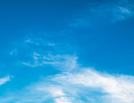 粉象生活运营模式