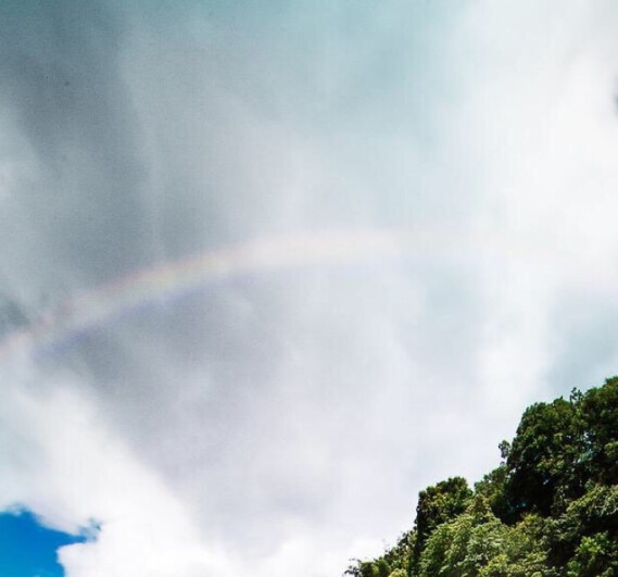 粉象生活开通会员有什么用