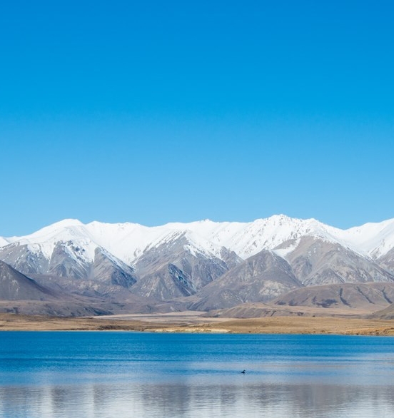 粉象生活购物平台真实吗