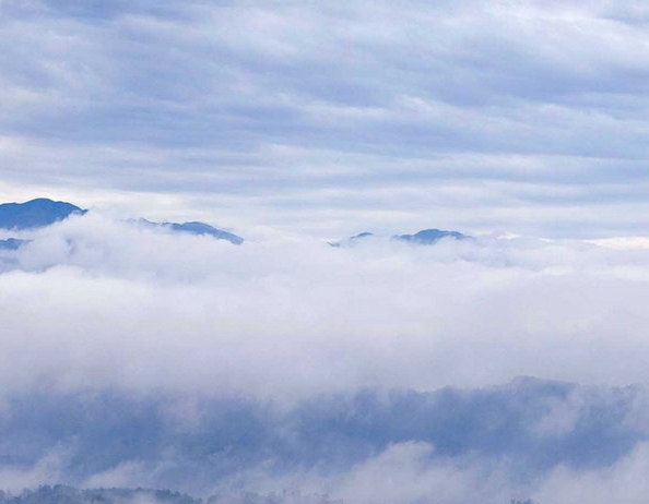 粉象生活怎么赚钱