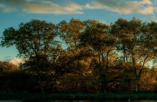 粉象生活会不会把卡里的钱卷走