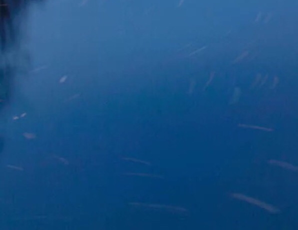 粉象生活怎么赚钱