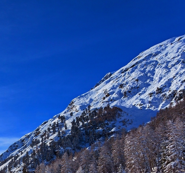 粉象生活赚钱教程