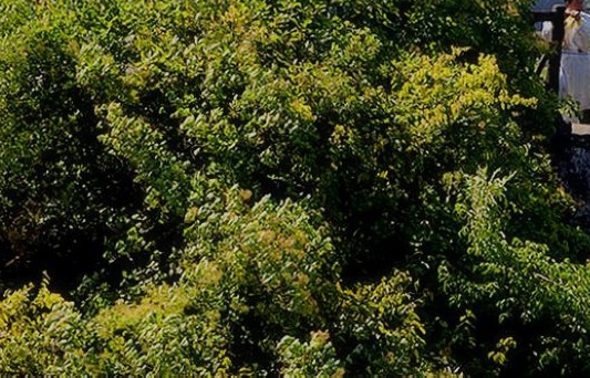 粉象生活怎么赚钱的