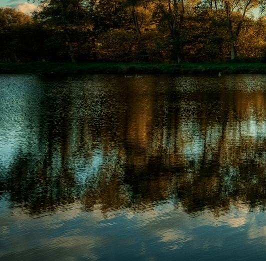 怎么在粉象生活领优惠券