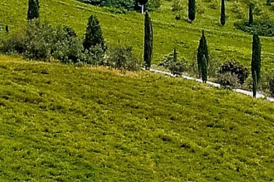 粉象生活怎么开店卖东西