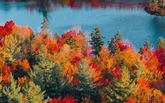 粉象生活下载app