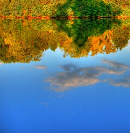 粉象生活可以看到粉丝订单吗