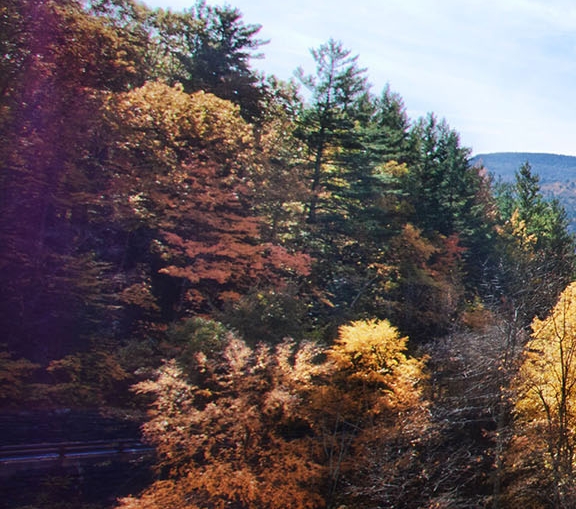 如何加入粉象生活推广