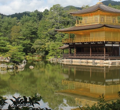 粉象生活返佣是真的吗