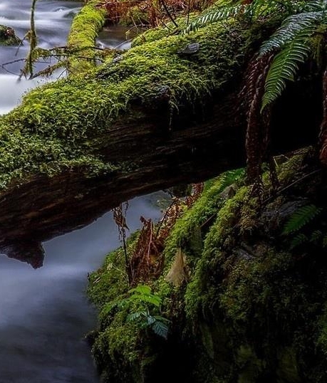 粉象生活苹果手机怎么用不了