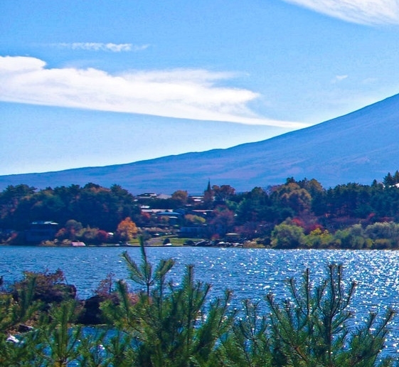 粉象生活自己怎么开店
