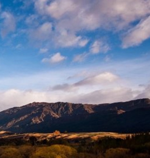 梅州粉象生活佣金