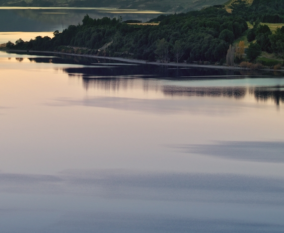 粉象生活怎么做淘宝客