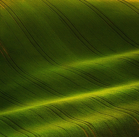 粉象生活地摊经济