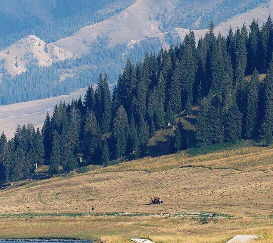 粉象生活广告图片