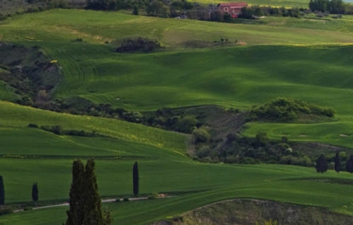 粉象生活副业可信吗