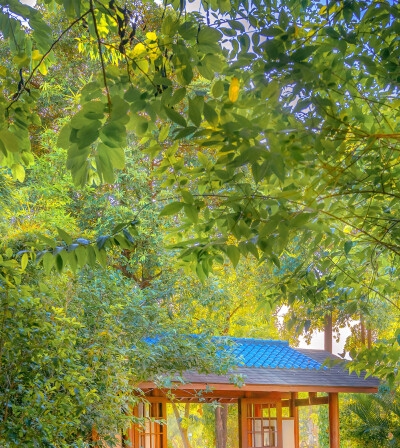 粉象生活是什么?