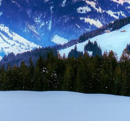 山东一站式粉象生活官网