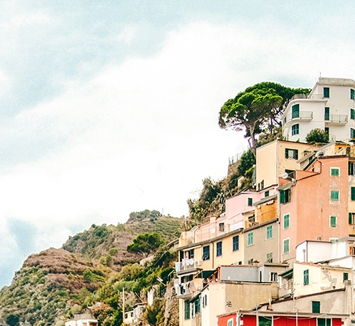 粉象生活怎么下载新闻