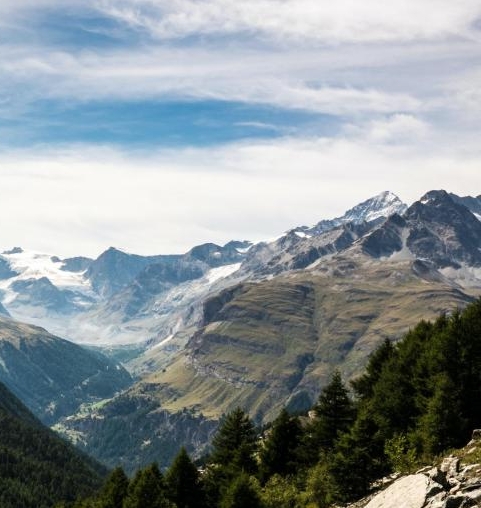 粉象生活要交钱吗