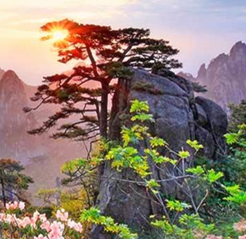 生活超市怎么进货