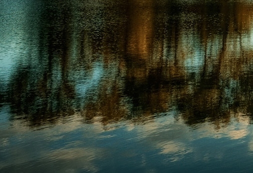 粉象生活李红星简历