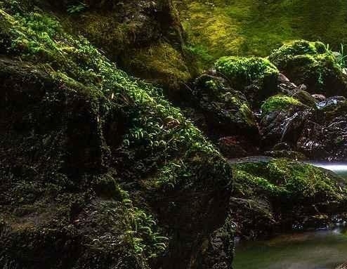 如何在快手涨粉