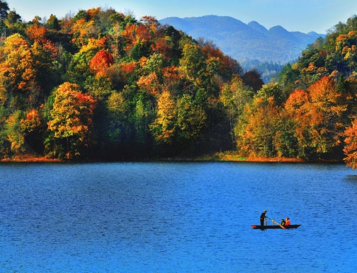 上海高端粉象生活靠谱么