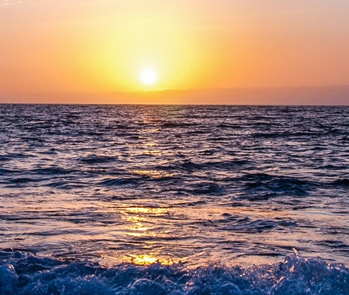 粉象生活快速推广的办法