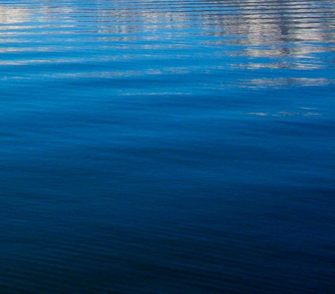 粉象生活0元购几点更新