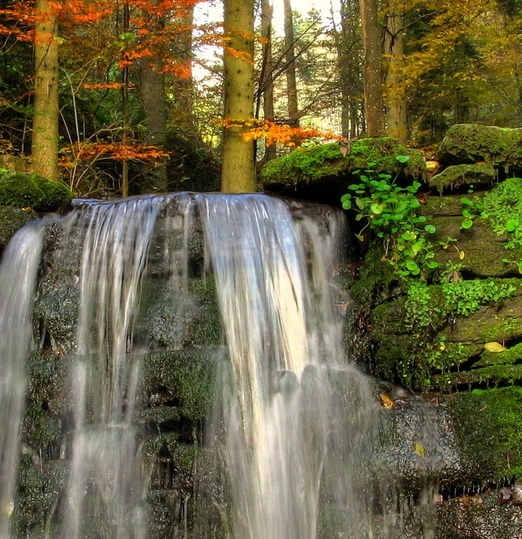 粉象生活如何发给微信好友